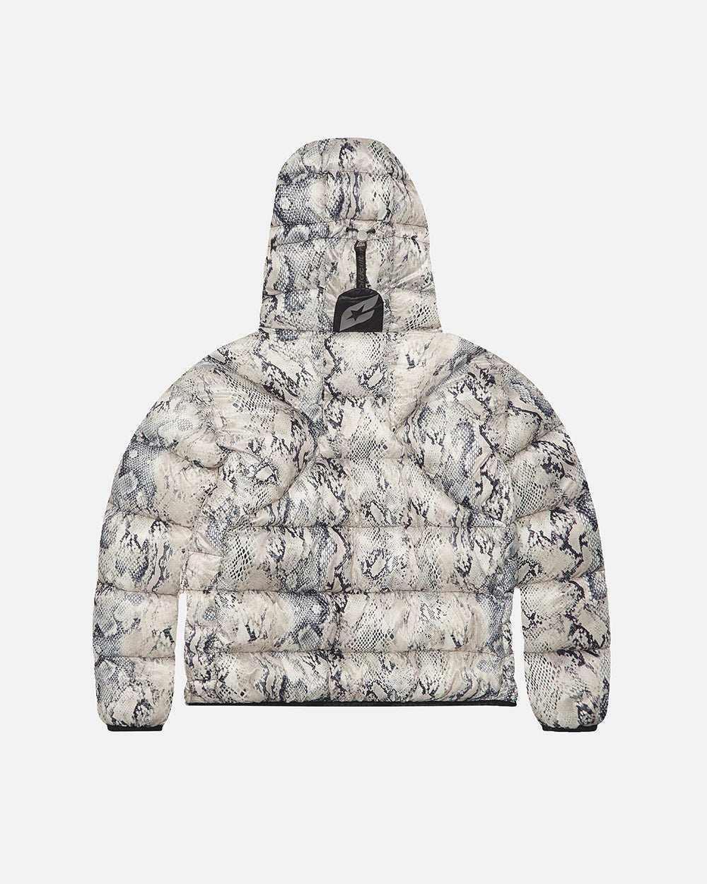 SERPIENTE GLOBO CON ARMADURA DE NUBE