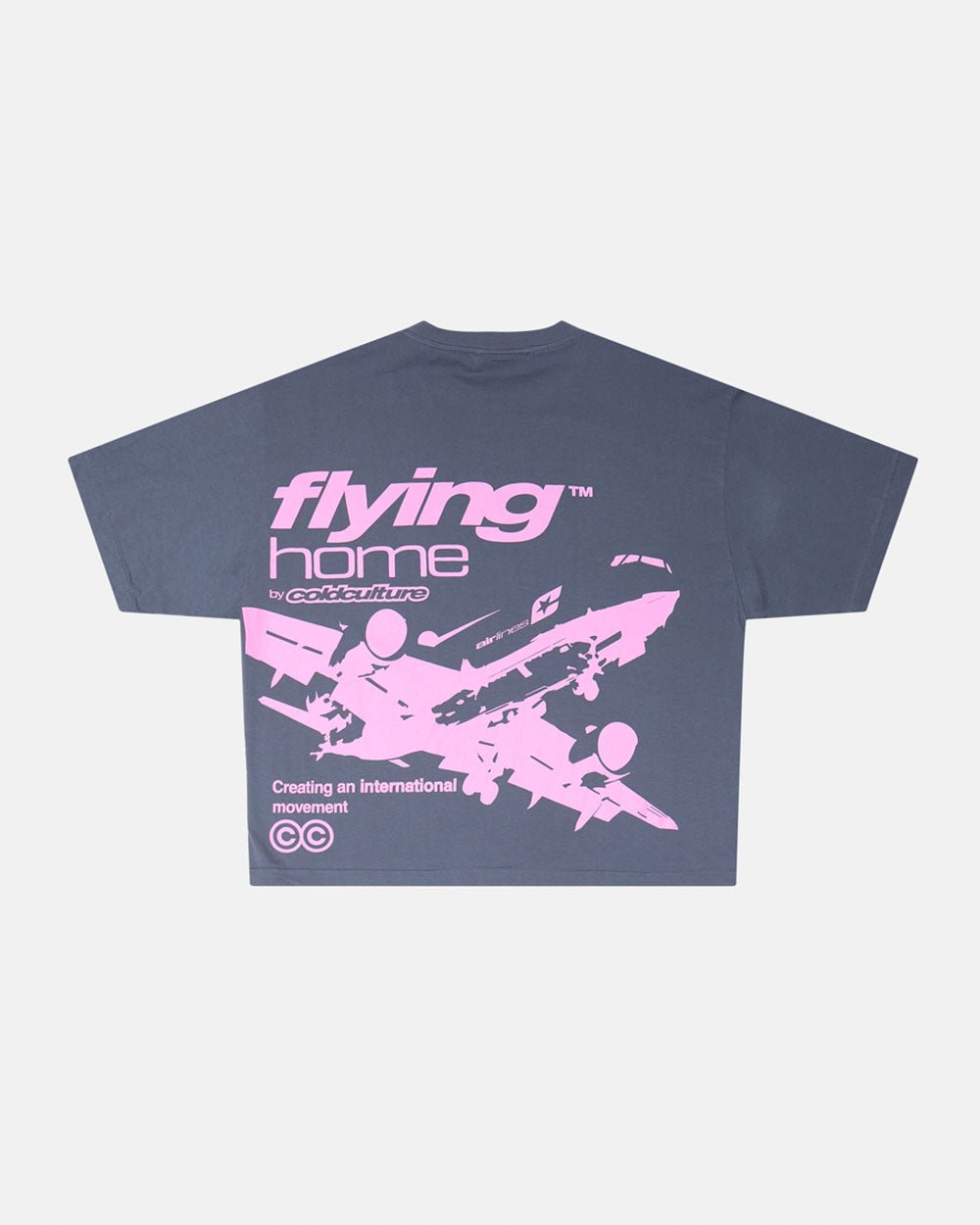 CAMISETA VOLANDO A CASA TINTA INDIA