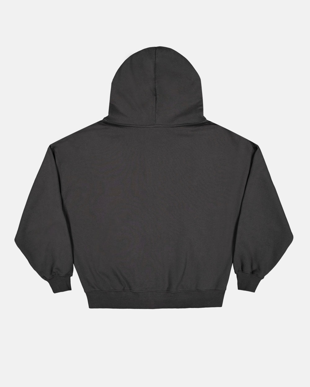 GLOBETROTTER SUDADERA CON CAPUCHA Y CREMALLERA GRIS