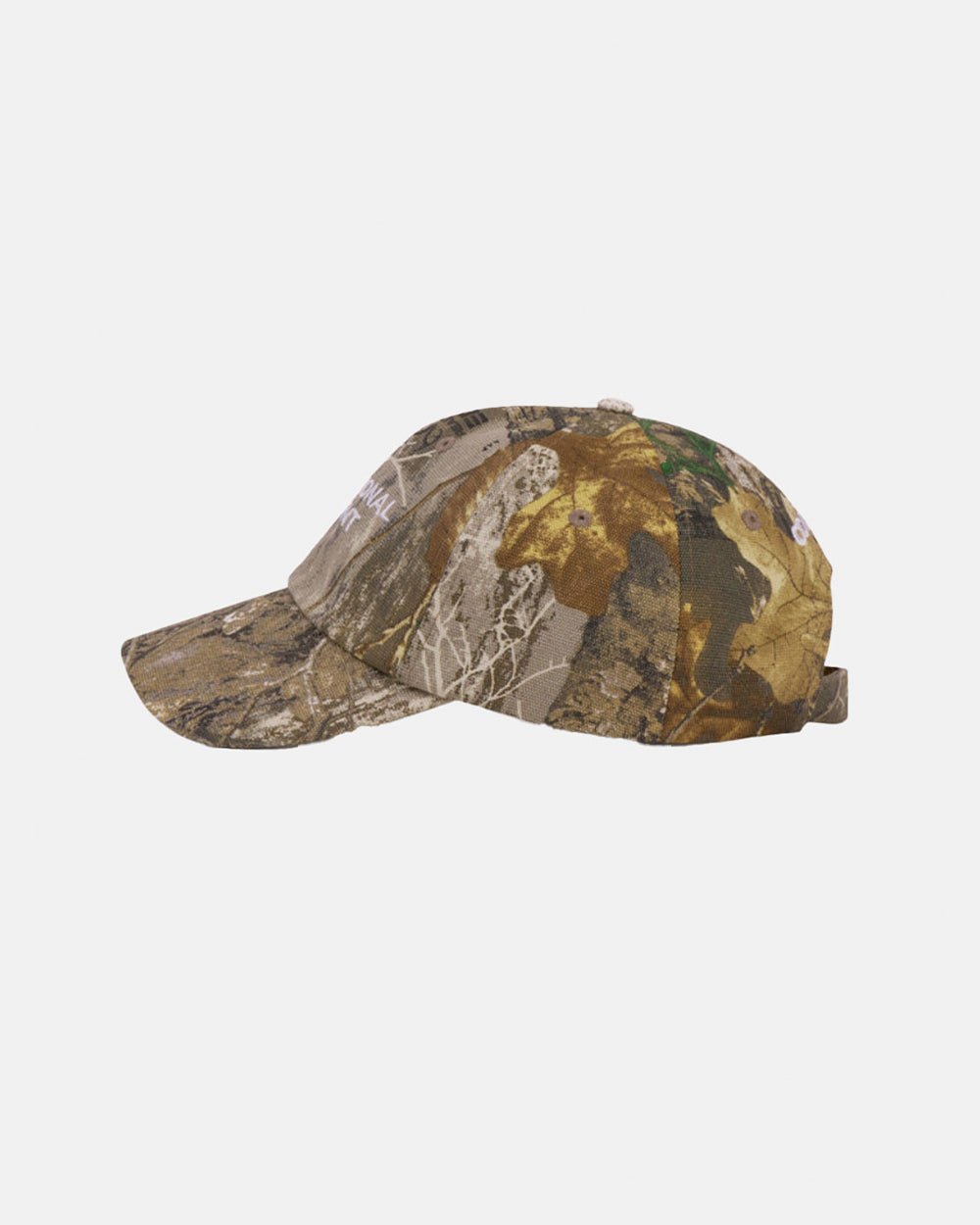 CAP INTERNACIONAL REALTREE