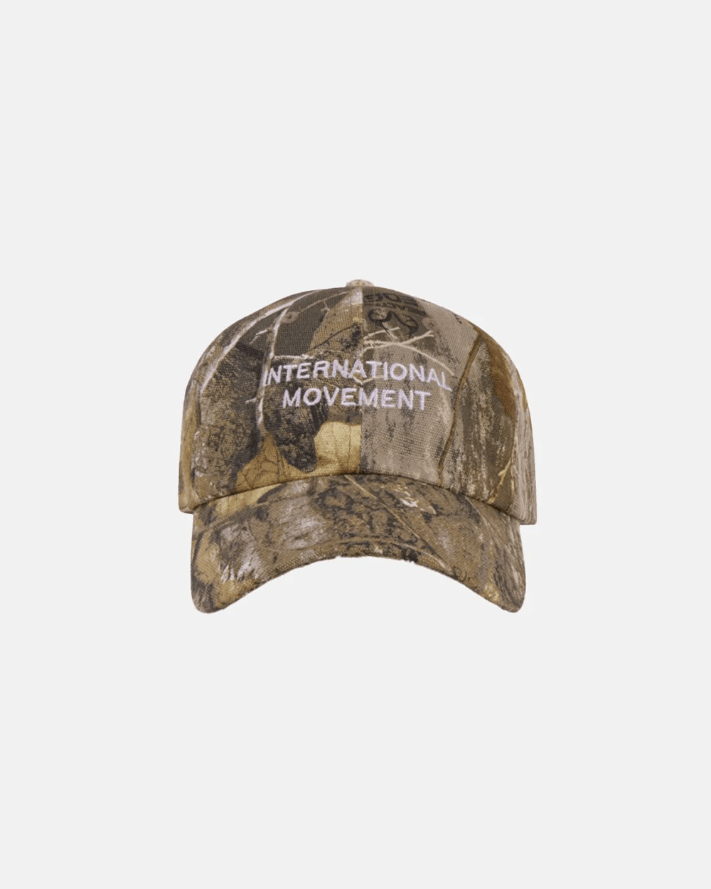 CAP INTERNACIONAL REALTREE
